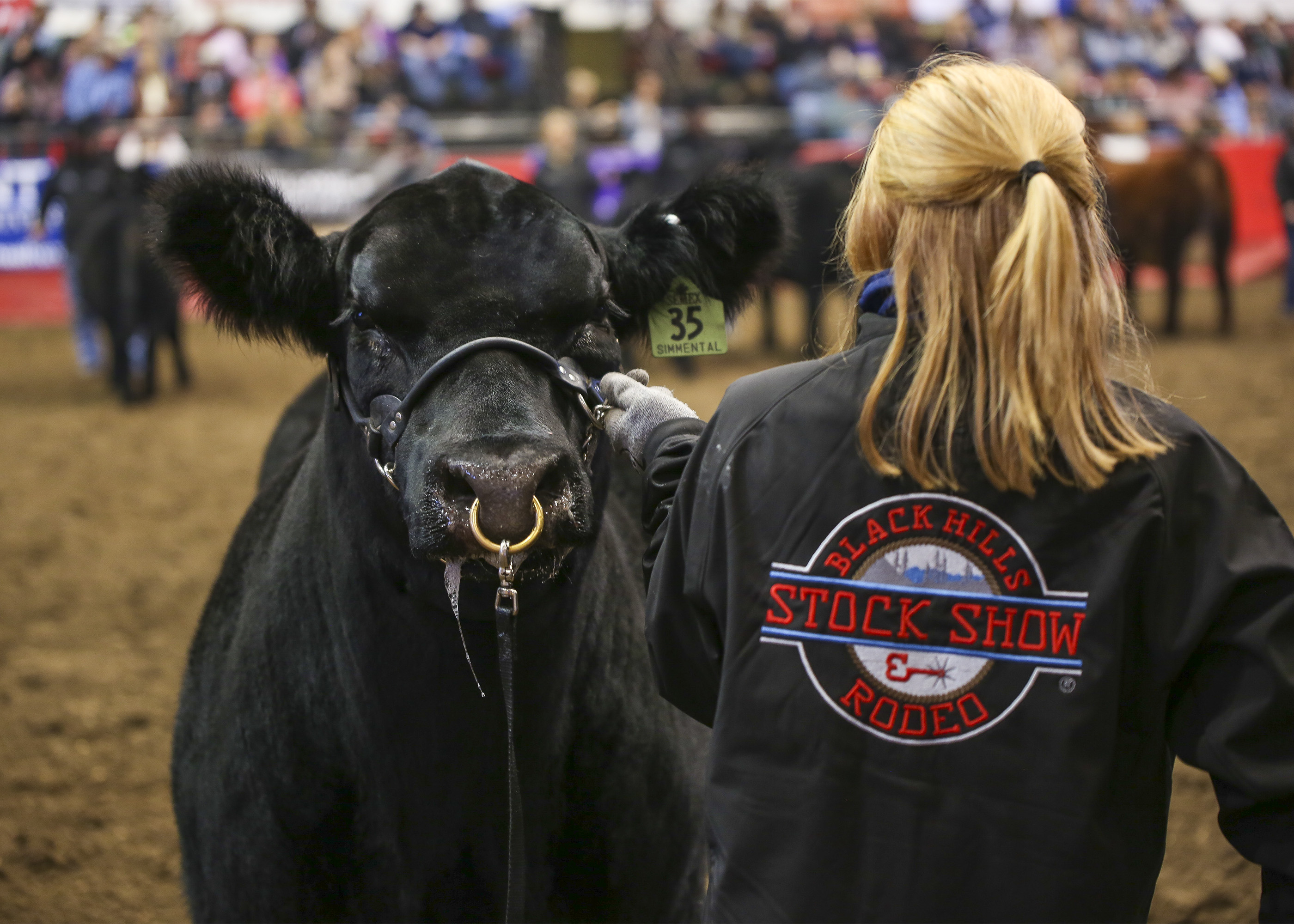 Black Hills Stock Show & Rodeo®