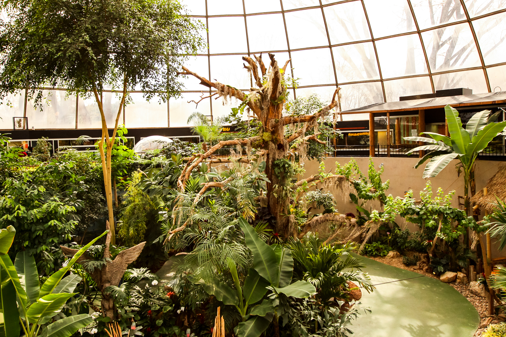 Guinness World Records for Largest Reptile Zoo