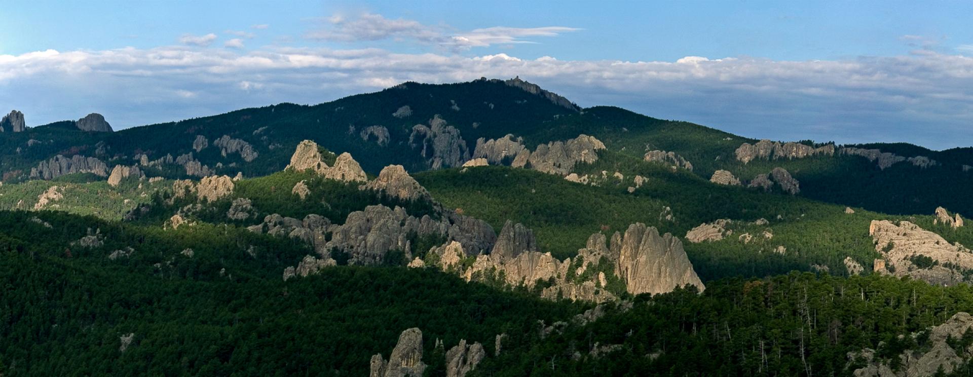 Black Hills National Forest