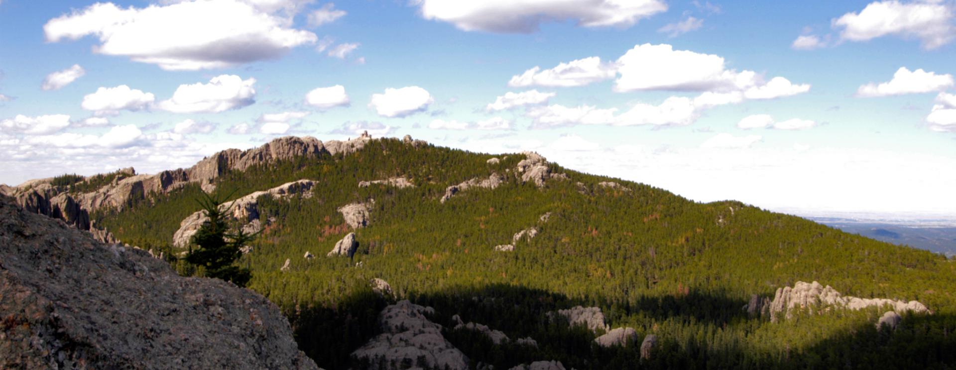 Custer National Forest