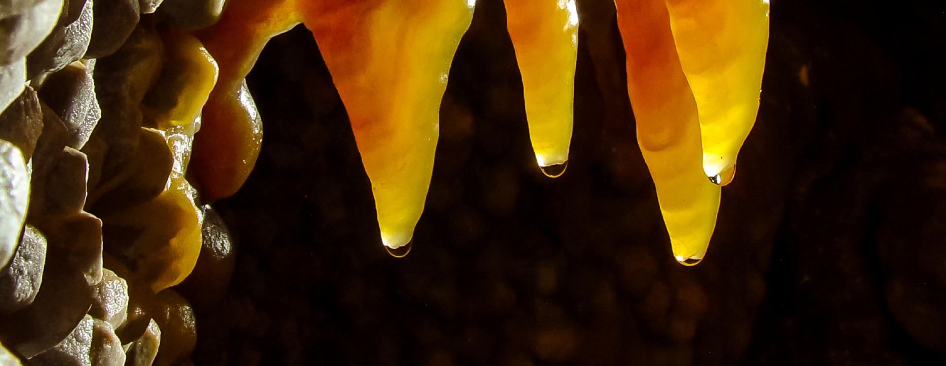 Jewel Cave National Monument
