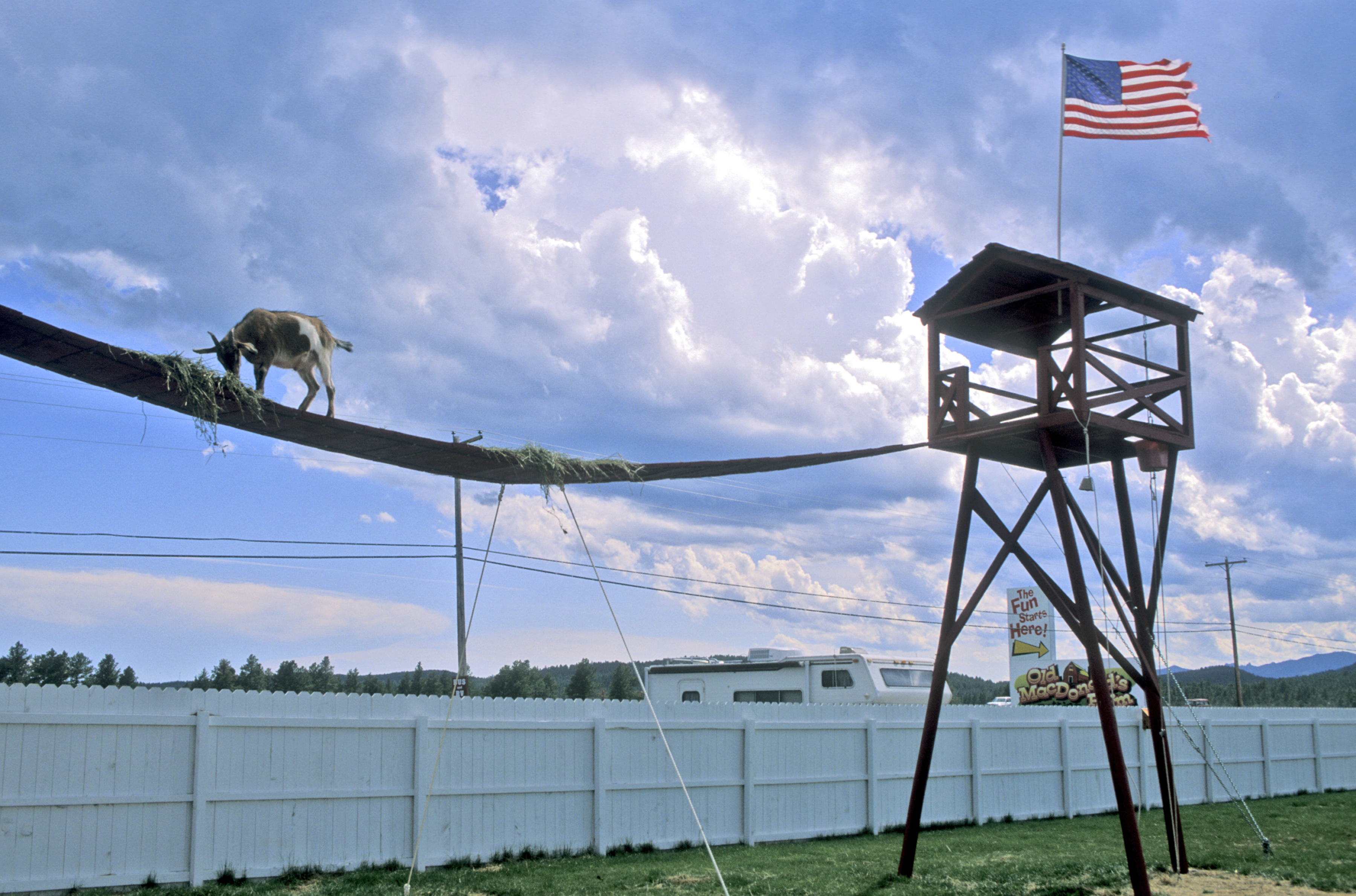 Old MacDonald's Farm