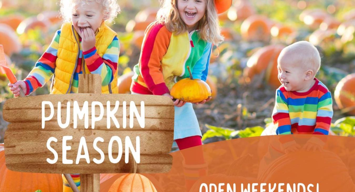 Spearfish Corn Maze & Pumpkin Patch