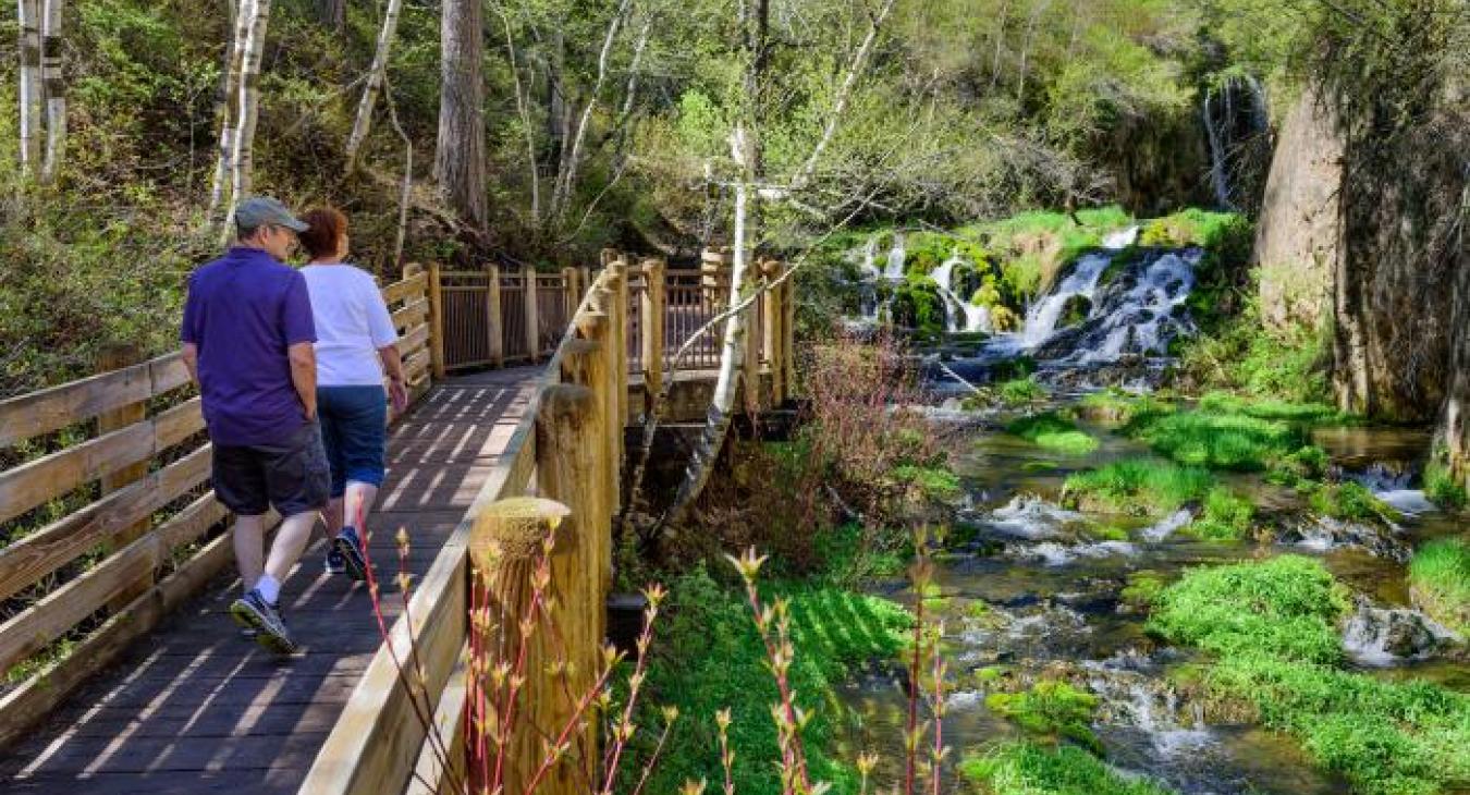 Roughlock Falls Nature Area
