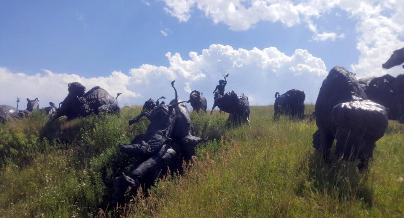 Tatanka: Story of the Bison