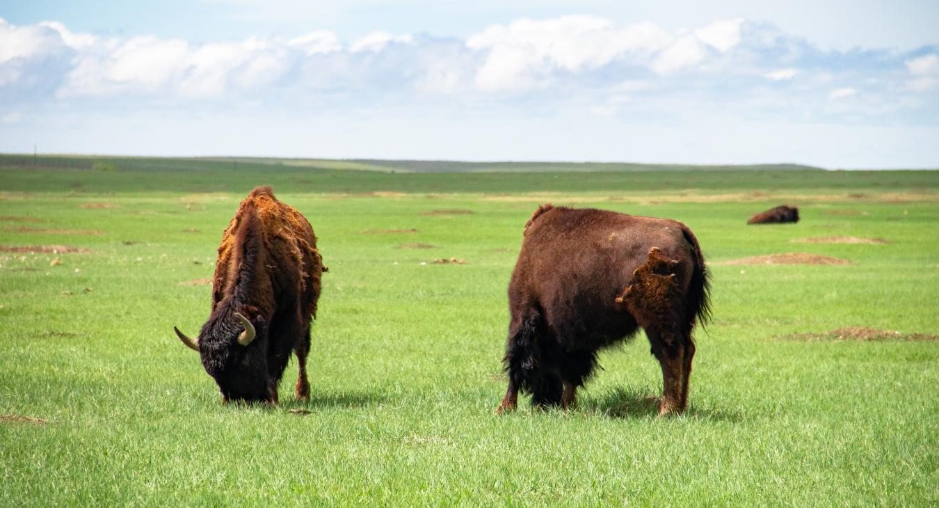 Badlands National Park