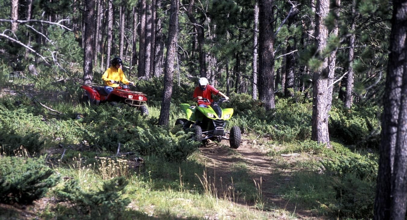 Rules and Regulations