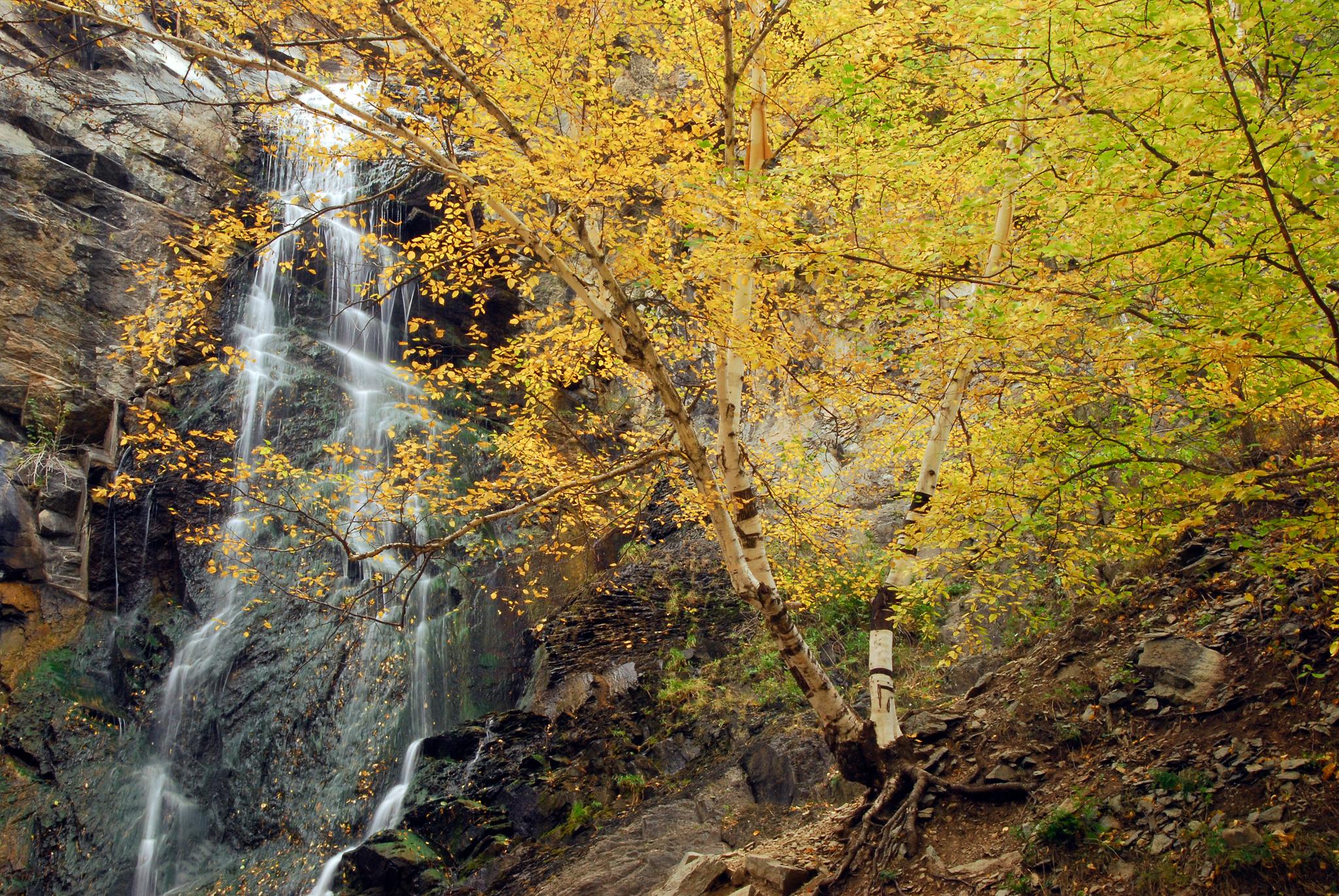Fall into the Black Hills